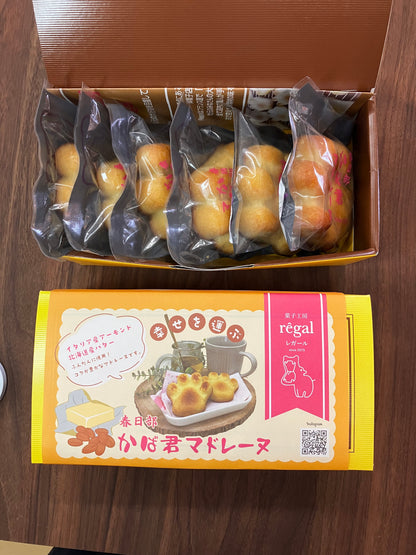 かば君マドレーヌ（6個入り）